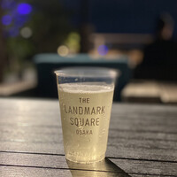 BLUE BIRDS ROOF TOP TERRACE - 