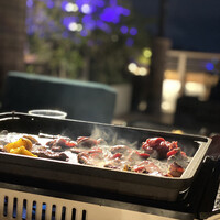 BLUE BIRDS ROOF TOP TERRACE - 