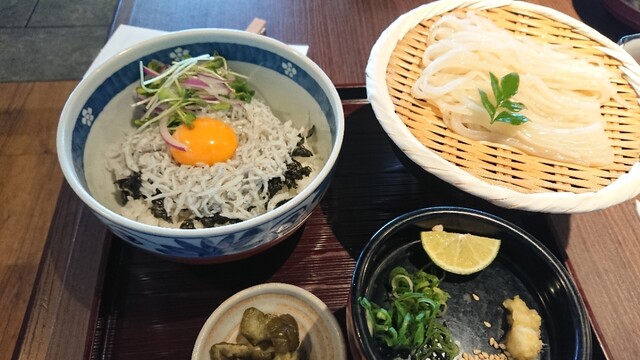 うどん酒菜 ふうふや 岸辺店 岸辺 うどん 食べログ うどん酒菜 ふうふや 岸辺店 岸辺 うどん 食べログ