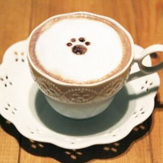 Cat Cafe てまりのおうち_1
