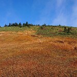 民宿　いこい - 