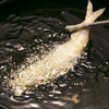 レストランカフェ セレース - 料理写真:10月ブッフェ天ぷら盛り合わせ