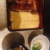 炭焼きうなぎ・かしわ 登河 - 