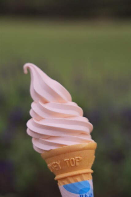 浜田広介記念館 - 高畠（その他）の写真