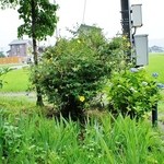 魚沼茶房 - お店様の入り口付近です⑨（7/13UP）