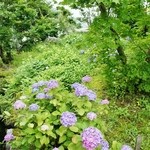 魚沼茶房 - お店様の入り口付近です⑩（7/13UP）