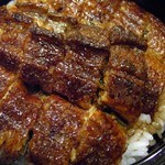 双葉 - ひつまむしは１杯目はそのまま食べて・・・２杯目は薬味をのせて・・・