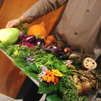 レフェルヴェソンス - 