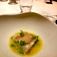 レフェルヴェソンス - 