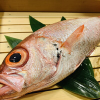 のどぐろ専門 銀座 中俣 - 