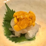 鮨 竜介 - 2020.9.  白海老と馬糞海胆