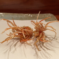 天冨良 よこ田 - 