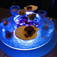 スミレオオサカ - 