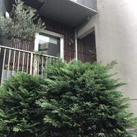 Cossott’e sp 麻布十番店 - 