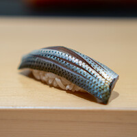 鮨 はしもと - 小肌