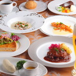 シュタインハウス - 