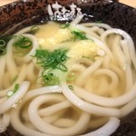 Hanamaru Udon - 2012.7 かけ小