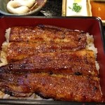 うなぎ 初音 - うな重アップ