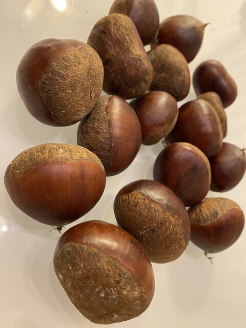 錦茶屋 （にしきちゃや） - 甲賀/薬膳  食べログ