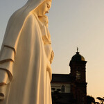 ダードデピノ - 