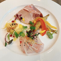 ダルマット 六本木ヒルズ店 - 