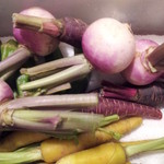 SYLPH - いろいろな野菜　その２