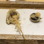 日本橋 蕎ノ字 - 南伊豆のさざえ　肝付き