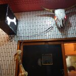 一条流がんこ総本家分家四谷荒木町 - 