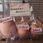 阪本鶏卵 - 巨大たまご誕生❢