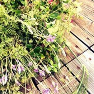 BAROSSA cocktailier_1