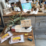 ル・シュクレクール - 