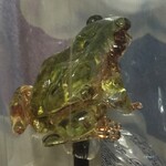 アメシン 花川戸店 - 大きさはトノサマガエルくらい。
                                
                                
                                