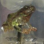 アメシン - コレは芸術だよなぁ〜〜〜
      
      
      食えないよ  飴。
      
      
      タコも欲しかったらしい。
      
      
      