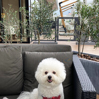 COLONIAL BEACH 横浜ハンマーヘッド - いつもの笑顔