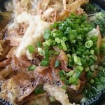 錦うどん - ごぼう天うどん