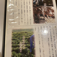 しゃぶしゃぶ・創作料理居酒屋 豚吟 栄店 - 