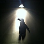 ペンギンのいるダイニングバー沖縄 - 外観