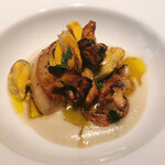 フォリオリーナ・デッラ・ポルタ・フォルトゥーナ - 