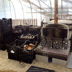 緑工房 - 店内には石窯が