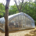 緑工房 - イチゴ用のビニールハウスがお店です