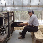 緑工房 - ご主人の村井さん（掲載了承済み）