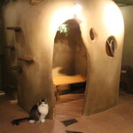 Cat Cafe てまりのおうち - 