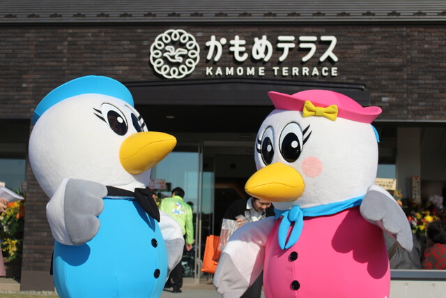 かもめテラス 三陸菓匠さいとう 総本店 - 大船渡（カフェ）の写真