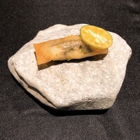 プレヴナンス - 