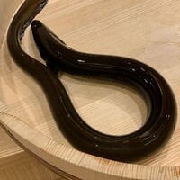 三宅輝 - 