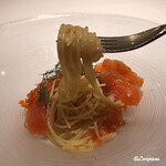 カーサ・デル・チーボ - 鮭といくらの冷製ｽﾊﾟｹﾞﾃｨｰﾆ