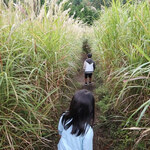 富士山こどもの国 - 