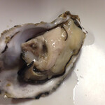 岸壁　炉ばた - 