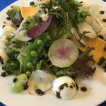 CARROZZE - 水牛モッツァレラと無農薬サラダ