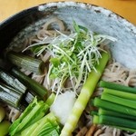 そば処 平石亭 - 「夏のぶっかけそば」上側からです（7/14UP）